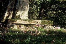 attendre abbaye maumont